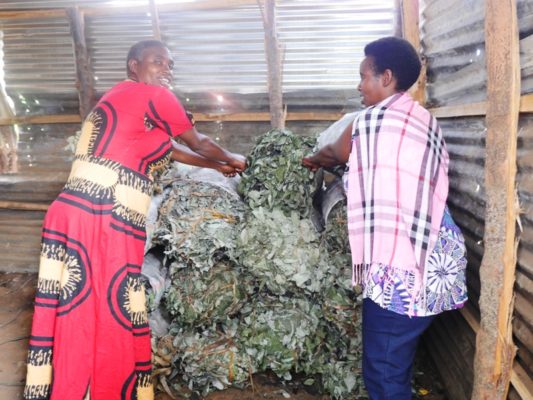 Ibikorwa byose barabifatanya. Ukeneye amakara ntibagombera gushaka umukozi. (Photo/Panorama)