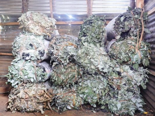 Ahabikwa amakara (Photo/Panorama)