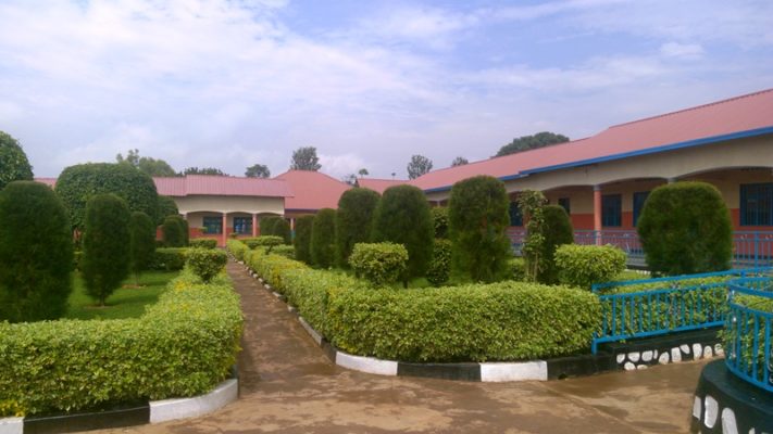 Orpcare1
