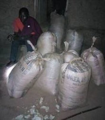 Kanyanga