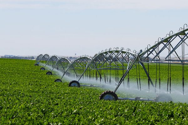 Agriculture