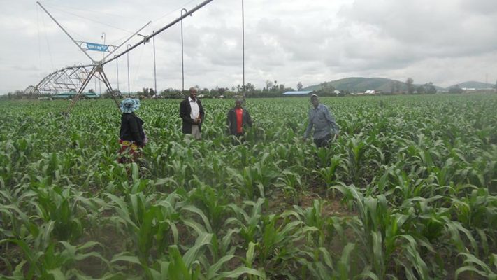 Irrigation Kagitumba