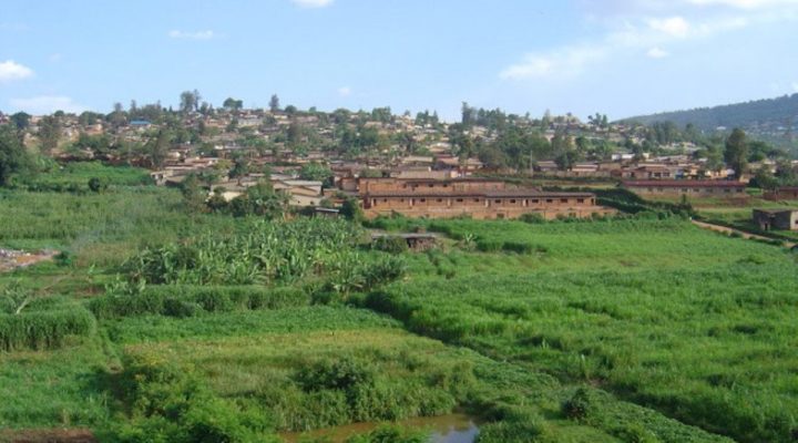 Igishanga