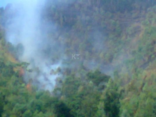 Inkongi