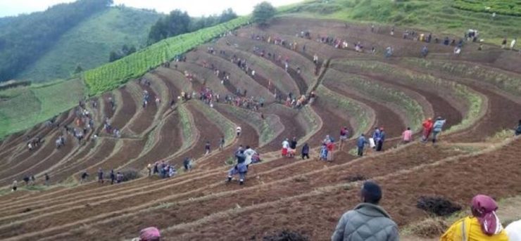 Terraces