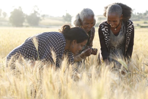 Agri food