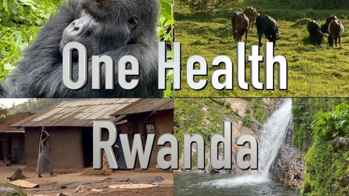 one health phoo