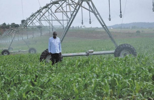Agriculture Rwanda