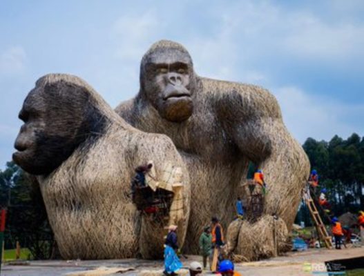 Kwita Izina94