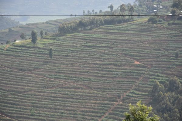 Gicumbi1