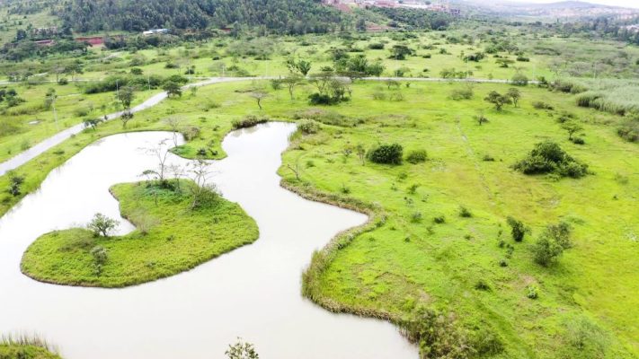 Nyandungu Eco Park