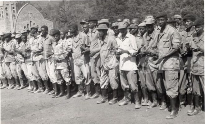 Inkotanyi