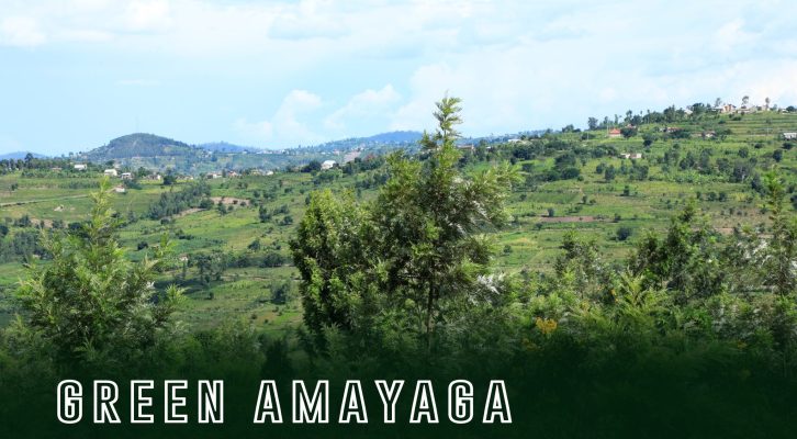 GREEN-AMAYAGA-2-2048x1365-1
