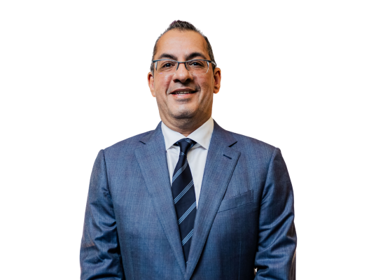 Aly S. Maherali (2)