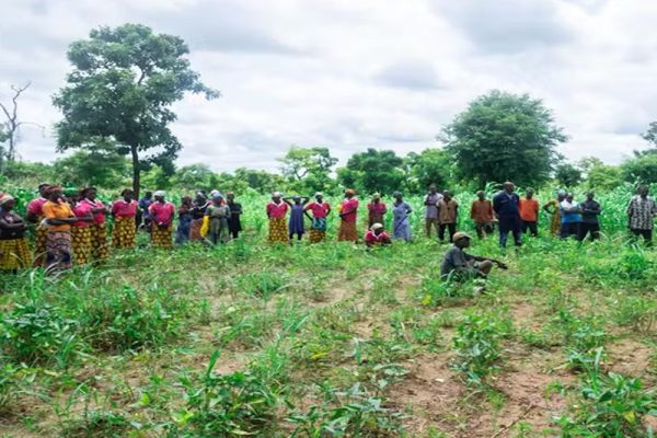 Food security