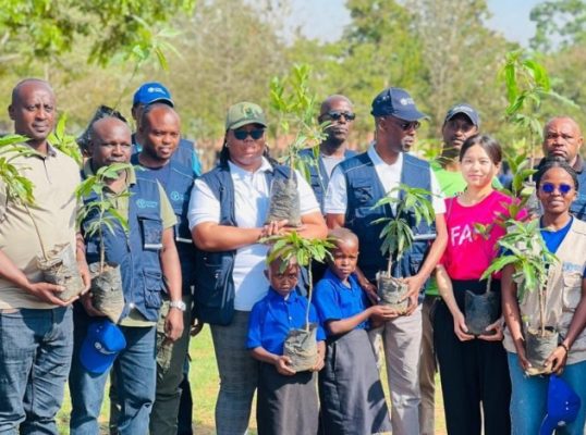 Nyagatare: Abanyeshuri basabwe kurinda ibiti by’imbuto bateye ku mashuri