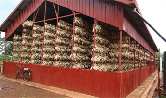 Rwanda turns to agricultural innovation to prepare for future food needs
