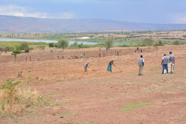 Kayonza: Youth Cooperative more than Doubles crop yields through capacity building
